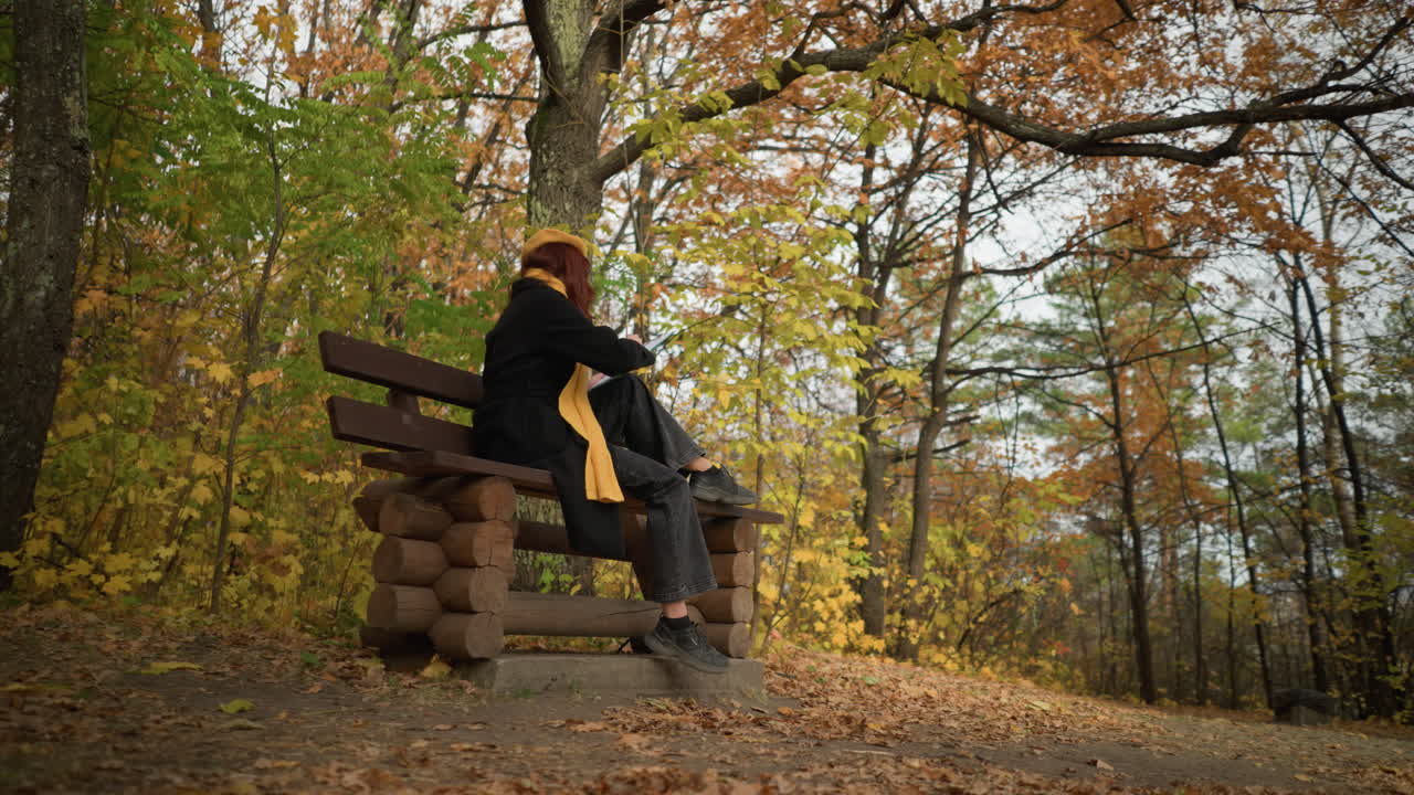 자연의 숲 공원 설정에서 창조적 인 과정을 포착하는 활기찬 가을 잎자루로 둘러싸인 외의 나무 벤치에 앉아있는 예술가 스케치의 낮은 각도 측면 뷰