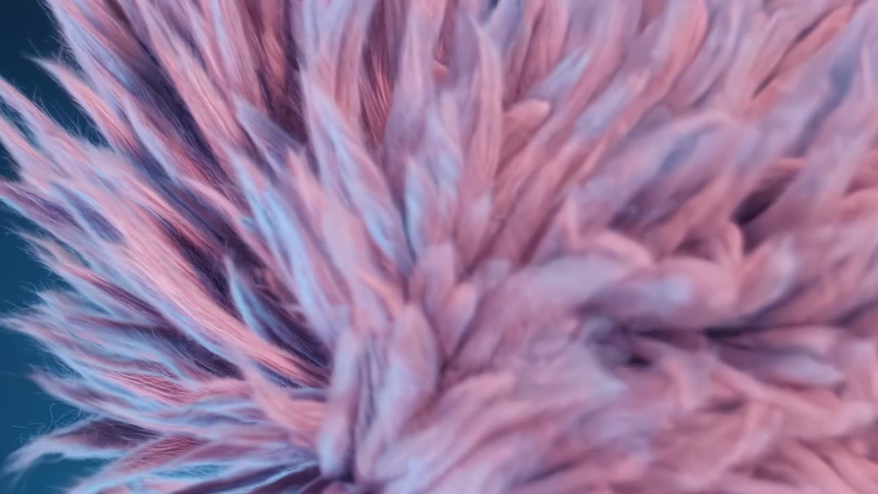 Pink and Purple Fluffy Fabric Texture