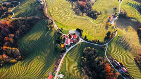 Stunning-aerial-4K-drone-footage-of-an-wine-region-of-Jeruzalem,-Slovenia