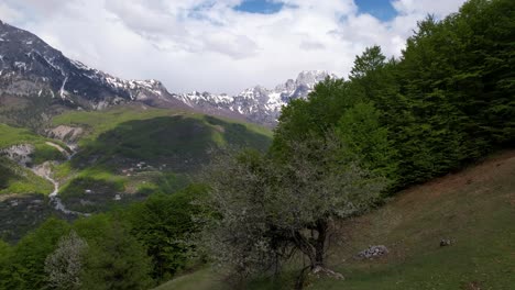 primavera en montañas con bosques verdes y laderas cubiertas de nieve