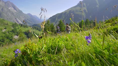 scenic view of the tour du mont blanc hiking route, winding through alpine terrain with dramatic mountain vistas as hiker walks along path