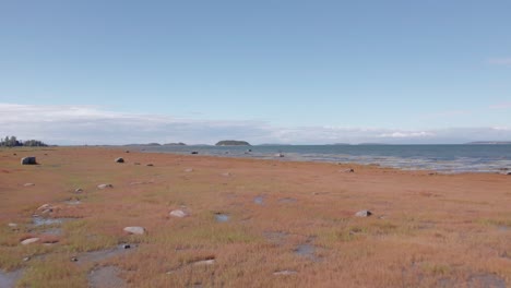 moving over grassland and water by the saint lawrence river in quebec in the sunshine