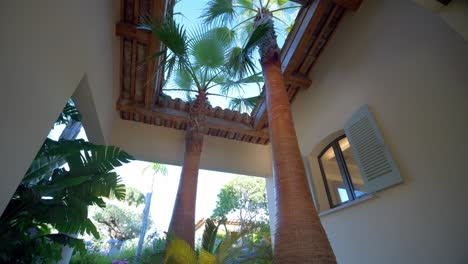 panning downward shot of decorative palm trees at the front door