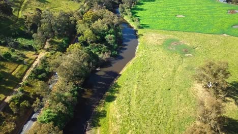 Vista-De-Drones-Del-Río-Mitta-Mitta-En-Pigs-Point-Cerca-De-Tallangatta-Sur,-En-El-Noreste-De-Victoria,-Australia