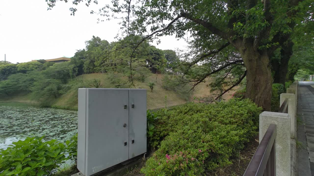 도쿄 치도리가푸치 (tokyo chidorigafuchi) 2022년