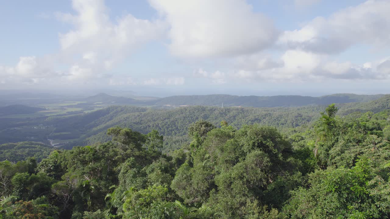 낮에 산에 푸른 잎이 있는 나무 위를 날다 - 호주 포트 더글라스의 숲