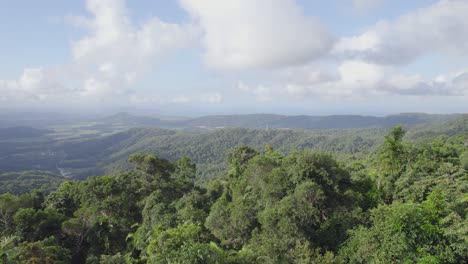 Volando-Sobre-Los-árboles-Con-Follaje-Verde-En-La-Montaña-Durante-El-Día---Bosque-En-Port-Douglas,-Australia