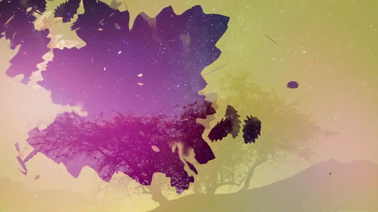 Clean Animation with Full HD Resolution