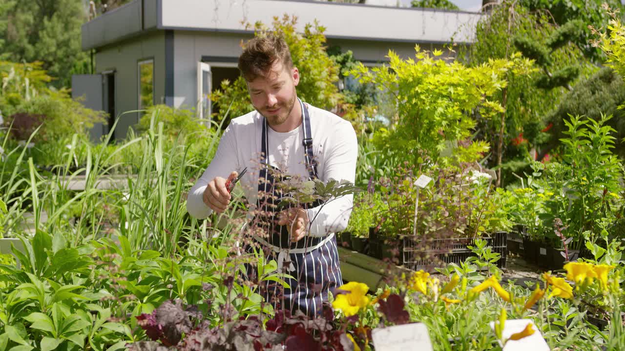 jardinero masculino profesional cuidando y cortando las plantas