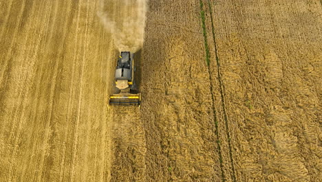 Vista-Aérea-De-Una-Cosechadora-En-Acción,-Recogiendo-Trigo-Dorado-En-Un-Campo,-Con-Un-Rastro-De-Polvo-Que-Resalta-Su-Camino-Bajo-El-Sol-De-Verano.