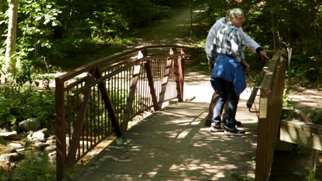 una pareja, una con discapacidad visual, paseando por un puente en una zona boscosa, lejos de la cámara
