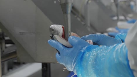 close-up of machinery in a fish factory, used to clean and vacuum out the guts of the seabream or snapper fish