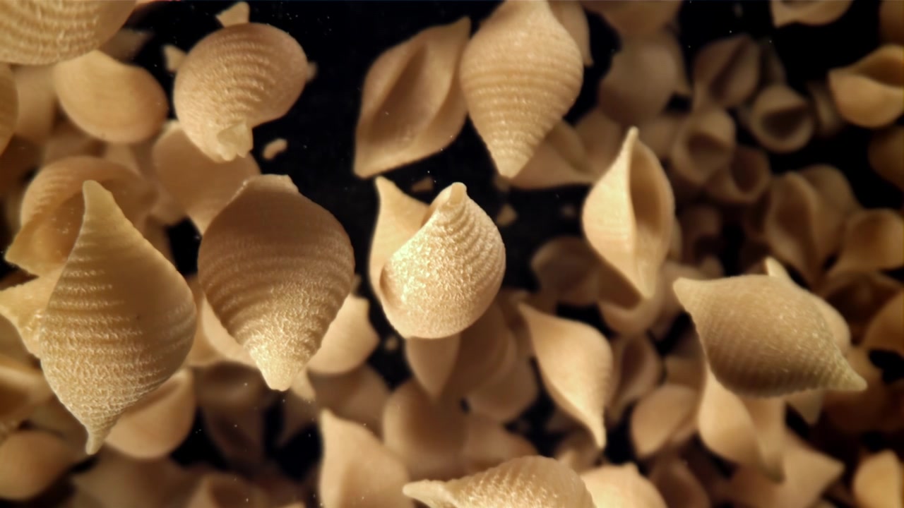 Pasta Conchiglie cruda che cade al rallentatore