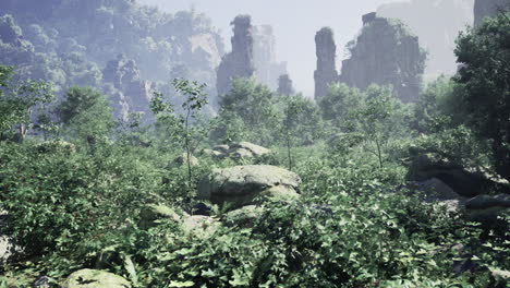 lush greenery surrounds ancient stone formations in a serene landscape