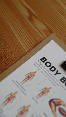 body types chart