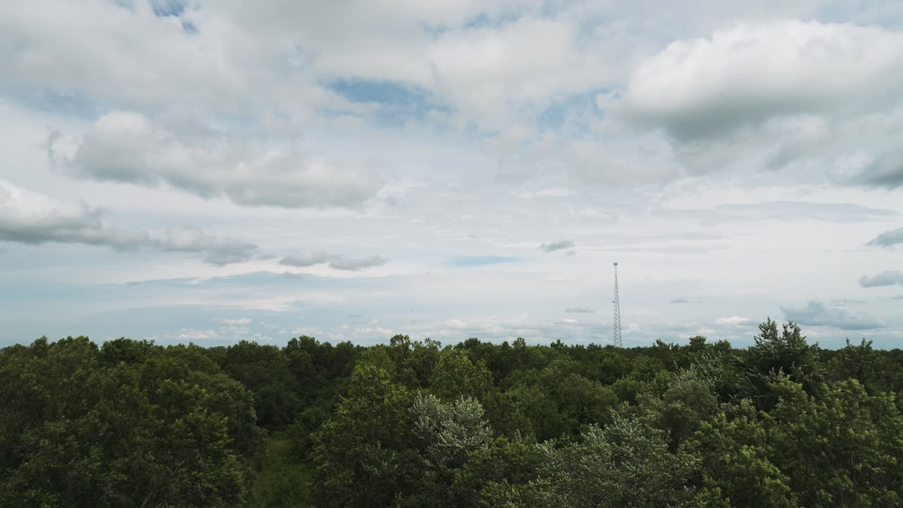 Densely Forest Trees Against Cloudscape Sky Near Lamar, Barton County, Missouri, United States