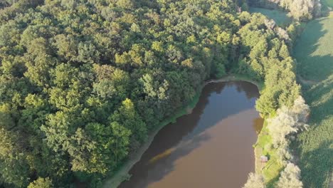 Absteigende-Drohnenaufnahme-Eines-Braunen-Sees,-Umgeben-Von-Dichtem-Wald