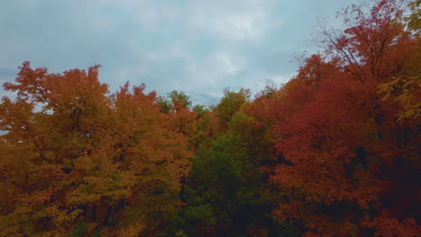 Scenic-aerial-view-flying-through-colorful-fall-foliage