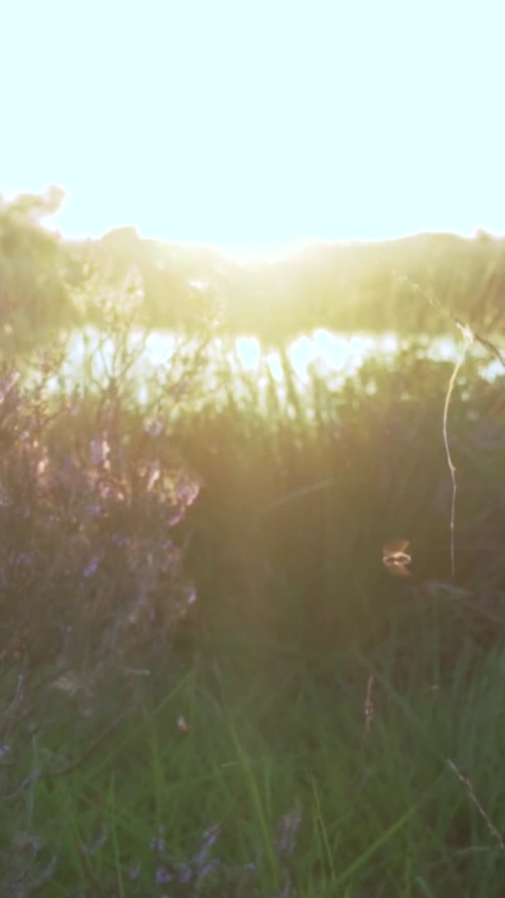 Закат над спокойным озером