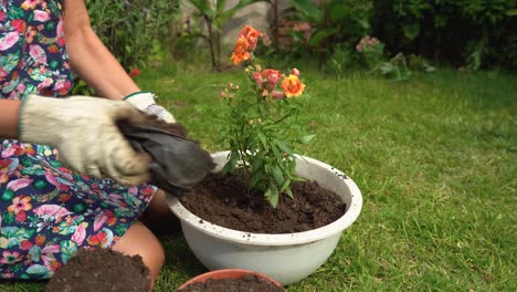 Mujer-Jardinero-Plantando-Flor-Planta-En-Maceta