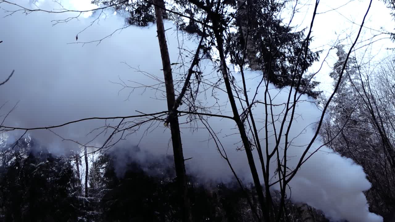 Una grande colonna di fumo bianco si propaga attraverso una cupa foresta invernale, mentre rami spogli incorniciano una scena inquietante e nuvolosa