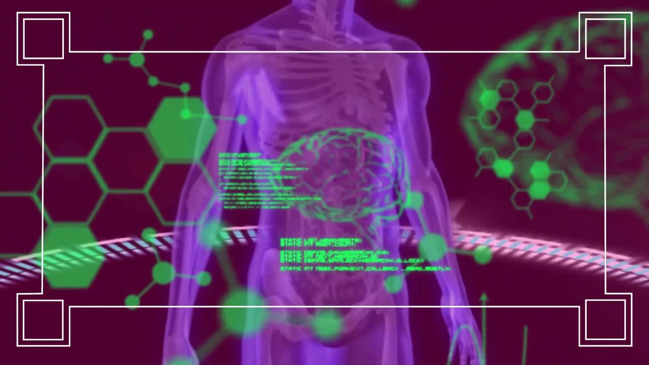 Animação de processamento de dados científicos sobre o corpo humano.