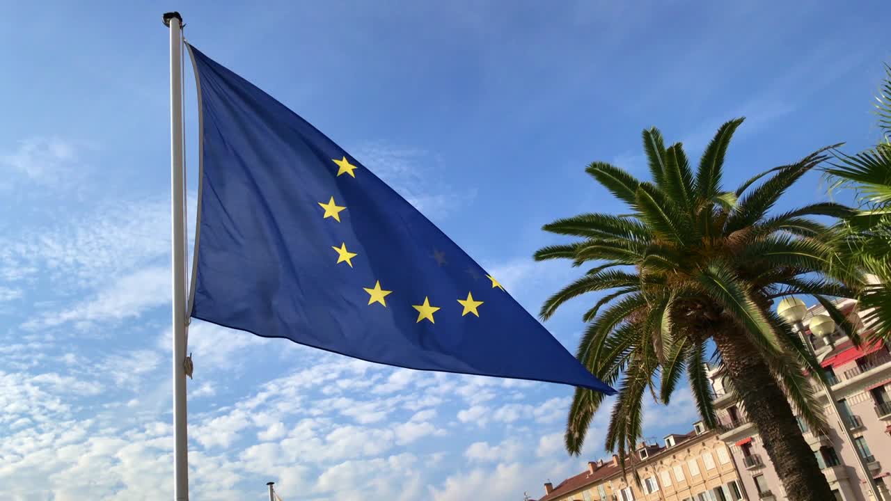 Bandiera dell'Unione Europea UE su un'asta che sventola con palma