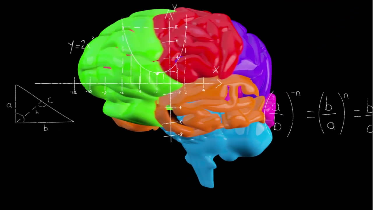 Animation of colourful spinning brain over mathematical equations