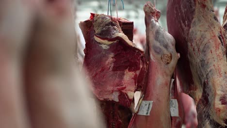 raw meat hanging in a butcher shop