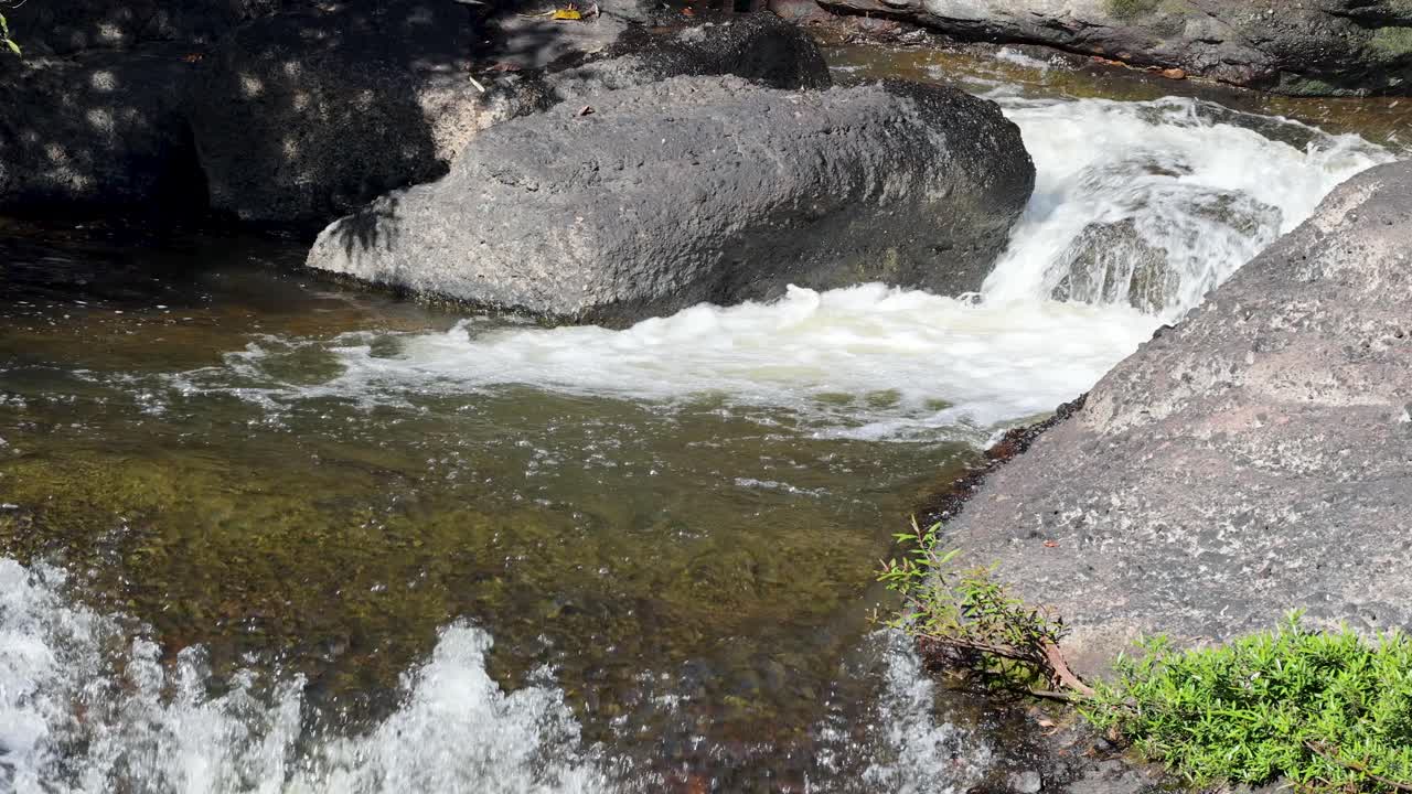 Sunlit river stream rushes over rocks in lush forest, steady camera, natural daylight, tranquil mood