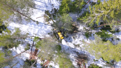 Efficient-felling-of-trees-in-snowy-forest-by-tree-harvester,-aerial-riser