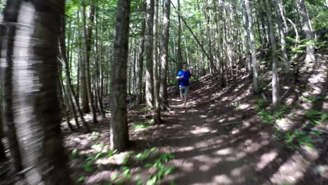 young man jogging in the forest 4k