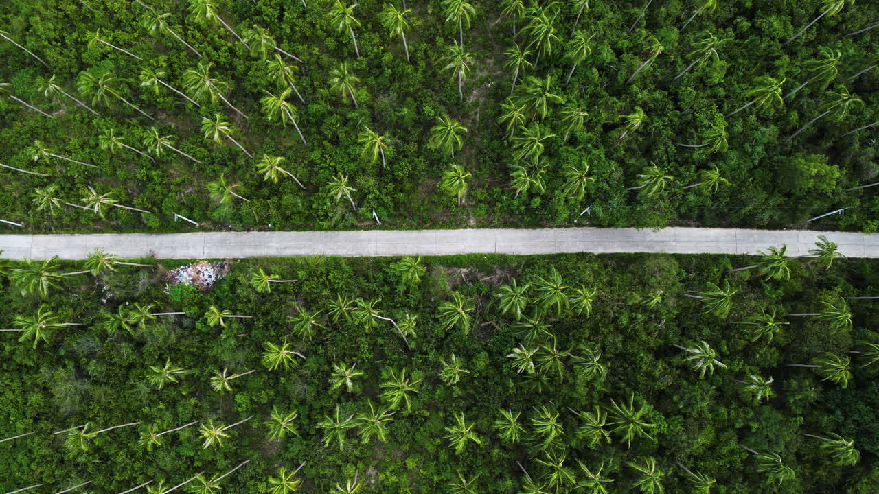 Strada che attraversa una giungla paradisiaca tropicale, vista aerea dall'alto
