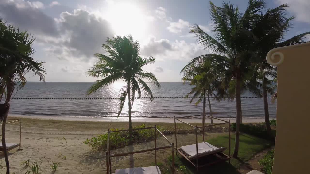 olas de playa y palmeras