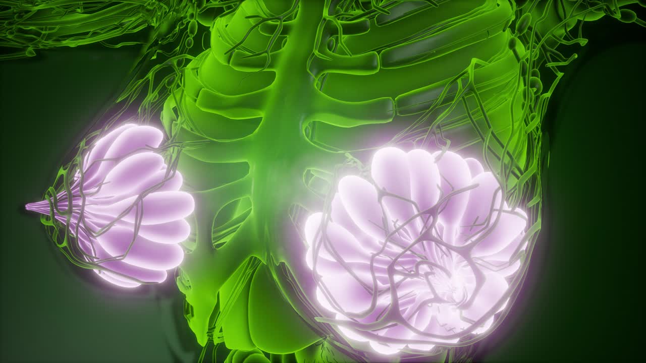 눈에 보이는 빛을 가진 인간의 몸 유방선