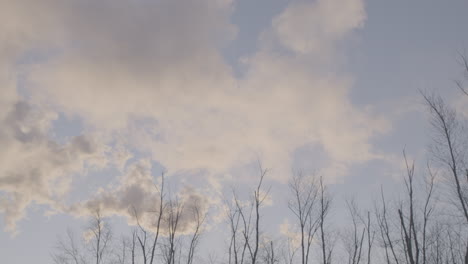 Fallen-Bäume,-Rauch-Und-Wolken