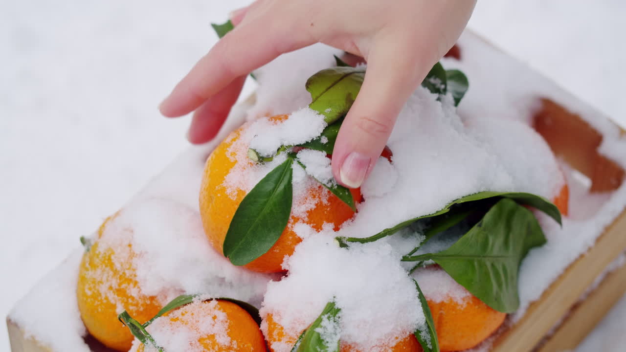 Arance nella neve