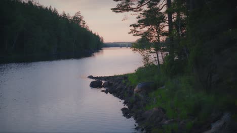 calm lake in a swedish forest on a summer evening