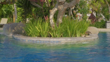 beachside pool with trees in bintang flores hotel, labuan bajo, indonesia