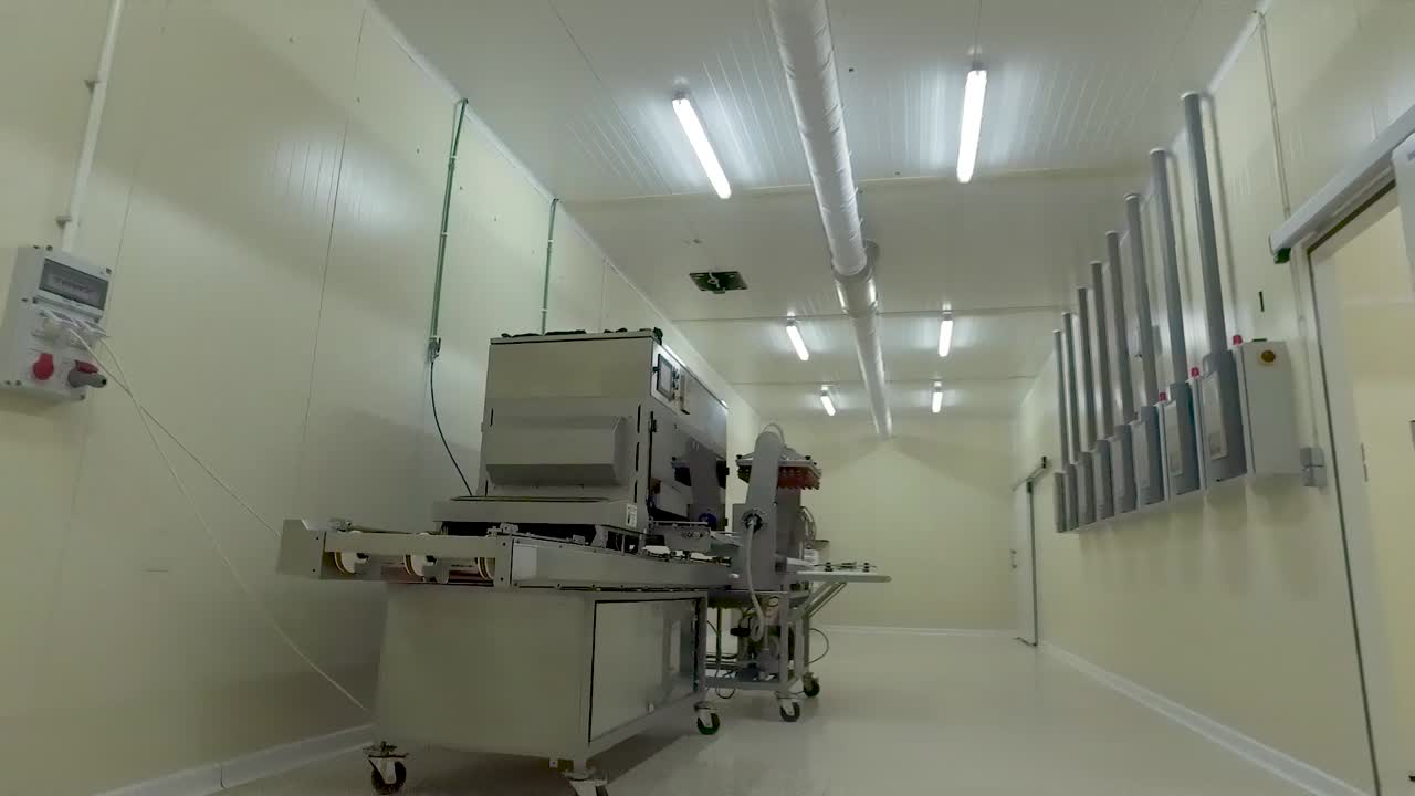 una línea de producción de un criadero para la producción de pollitos
