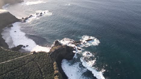 Vista-Aérea-De-Una-Plantación-De-Plátanos-Junto-Al-Mar-En-Tenerife,-Islas-Canarias