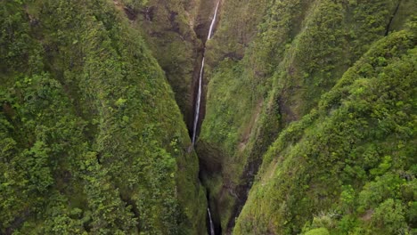peeping the sacred falls of oahu hawaii