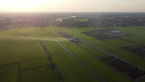 Panoramic-aerial-view-of-the-rice-fields-of-Ayutthaya,-an-essential-part-of-Thailand's-landscape-and-agricultural-culture