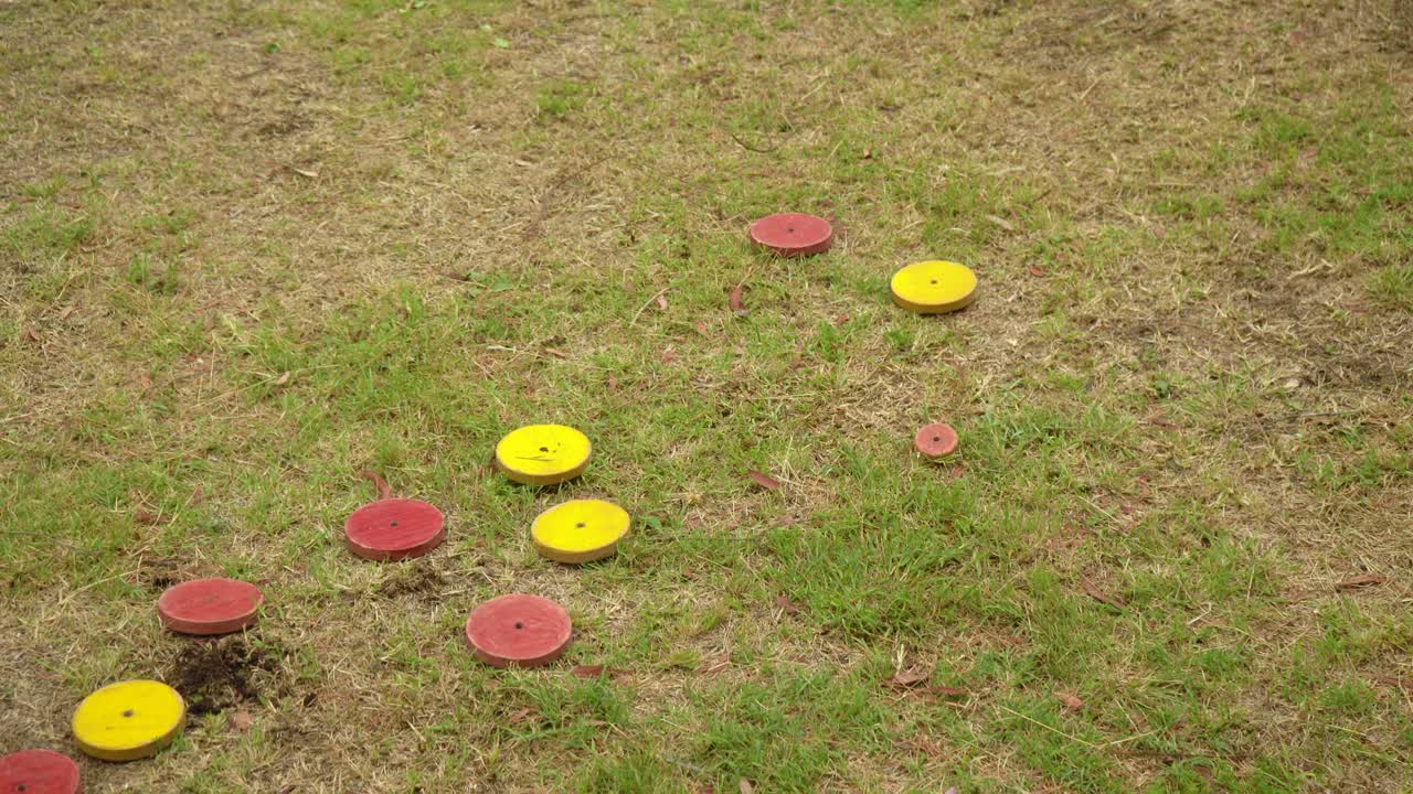 Playing tejo on the grass with wooden discs, no people