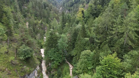 rising drone view of wooded valley almach gorge bavarian alps germany