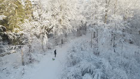 Man-pulling-a-toddler-in-a-sled-through-a-beautiful-snowy-winter-landscape-in-Karlskrona,-south-of-Sweden-1