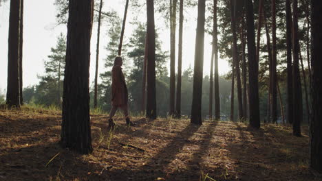 a woman with a dog walks among tall pines in the forest