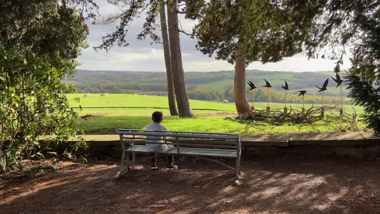 un niño se sentó en un banco de jardín con vistas al campo rodeado de árboles con ovejas pastando, campos iluminados por el sol y una escultura de pájaro