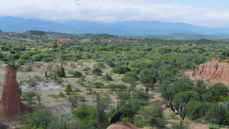 Breathtaking aerial view of Tatacoa Desert, Huila-Co. Arid landscape with cacti, rock formations. Clear skies, bright daylight, verdant patches create contrasting scenery.