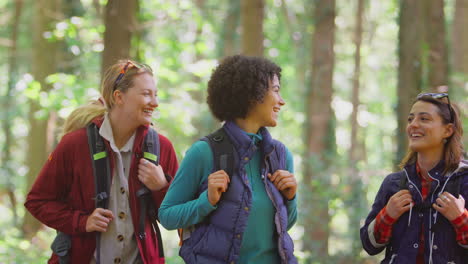 portrait of group of female friends on camping holiday hiking in woods together